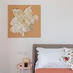 Iflat With Views * 罗马